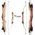 SET RAGIM Wildcat Plus Junior - 54-58 inches - 12-30 lbs - Take Down - Recurve Bow