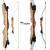 SET RAGIM Wildcat Plus Junior - 54-58 inches - 12-30 lbs - Take Down - Recurve Bow