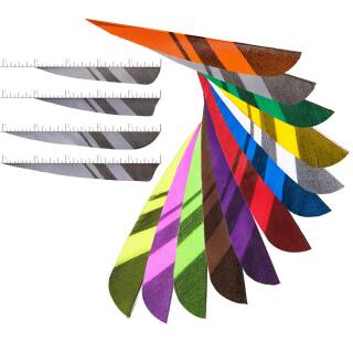 [Bestseller] BSW Black Horn - Premium Feather - geometric Stripes - various Lengths & Shapes