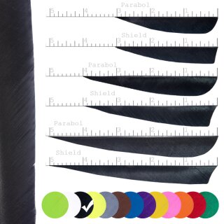 [Bestseller] BSW Solid - Naturfeder - einfarbig | Farbe: Schwarz - Form: volle Länge - ungestanzt