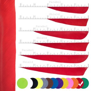 [Bestseller] BSW Solid - Naturfeder - einfarbig | Farbe: Rot - Form: volle Länge - ungestanzt