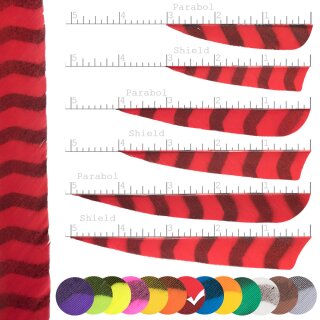 [Bestseller] BSW Barred - Natural feather - striped | Colour: Red / Black - Shape: full length - unstamped