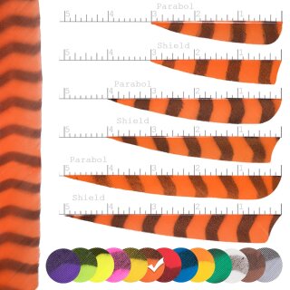 [Bestseller] BSW Barred - Naturfeder - gestreift | Farbe: Orange / Schwarz - Form: 4 Zoll Parabol