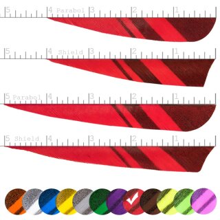 [Bestseller] BSW Black Horn - Naturfeder - geometrische Streifen | Farbe: Rot / Schwarz - Form: 4 Zoll Shield