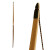 PENTHALON Blackfoot - 66 inches - Longbow - 20-50 lbs