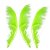 BSW Arrow Tracer / Feather Pointer - 12 Stück | Farbe: Fluoreszierend Grün