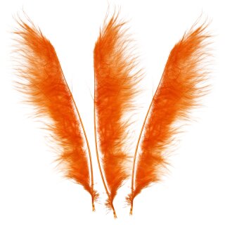 BSW Arrow Tracer / Feather Pointer - 12 Stück | Farbe: Orange