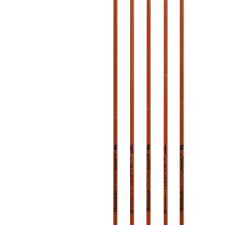 Schaft | BEARPAW Penthalon Slim Line Bamboo - Carbon | Spine: 400 | volle Länge - ungekürzt