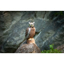 CENTER-POINT 3D Eagle Owl - Made in Germany