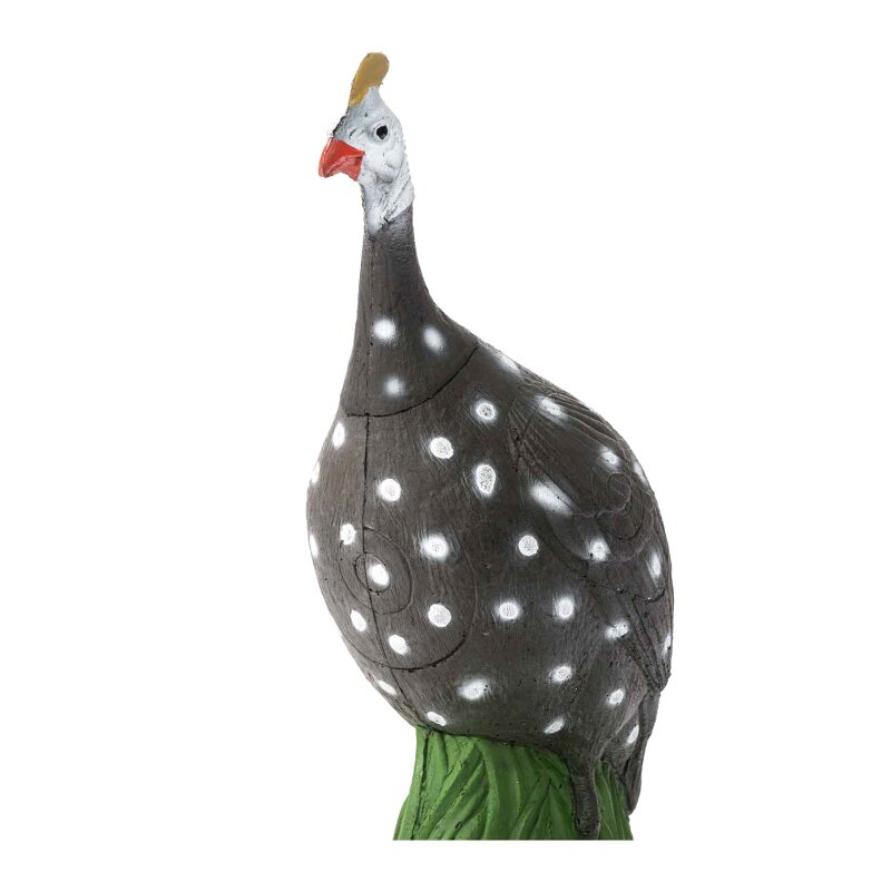 IBB 3D Guinea Fowl