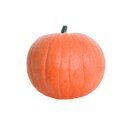 IBB 3D Pumpkin