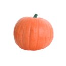 IBB 3D Pumpkin