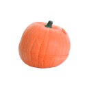 IBB 3D Pumpkin