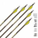 Complete Arrow | GOLDTIP Ultralight Series 22 Pro - Carbon