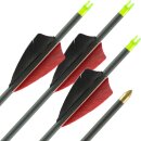 41-55 lbs | Carbon Arrow | LithoSPHERE Black - with...