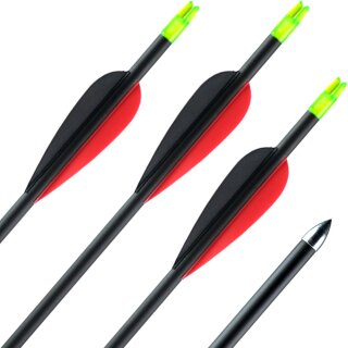 31-35 lbs | TIP! - Carbon Arrow | ExoSPHERE Prime - with Vanes | Spine 600 | 32 inches