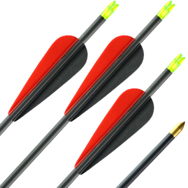 21-25 lbs | TIP! - Carbon Arrow | LithoSPHERE Black - with vanes | Spine 1000 | 28 inches