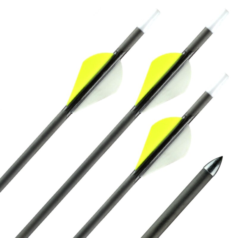 31-35 lbs | Carbon Arrow | GOLDTIP Warrior - with vanes | Spine 600 | 32 inches