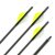 31-35 lbs | Carbon Arrow | GOLD TIP Warrior - with Vanes | Spine 600 | 32 inches