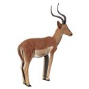 ASEN SPORTS Impala - male  [***]