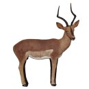ASEN SPORTS Impala Schwarzfersenantilope - männlich  [***]