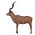 ASEN SPORTS Kudu Antilope [Spedition]