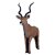 ASEN SPORTS Kudu Antelope [Forwarding Agent]