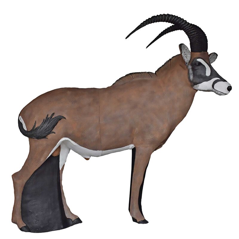 ASEN SPORTS Roan Antelope
