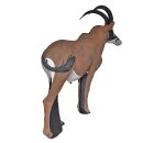 ASEN SPORTS Roan Antelope