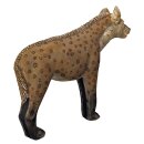 ASEN SPORTS Hyena - small