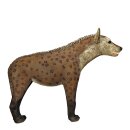 ASEN SPORTS Hyena - small