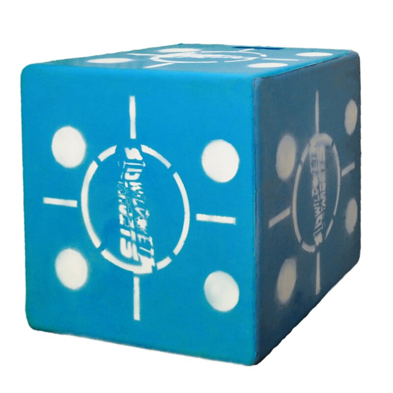 ASEN SPORTS Square Target Cube