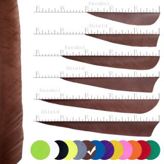 [Bestseller] BSW Solid - Naturfeder - einfarbig | Farbe: Braun - Form: 2.25 Zoll Parabol
