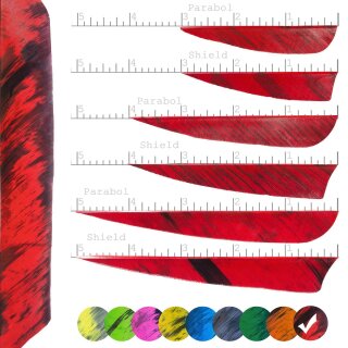 [Bestseller] BSW Camo - Naturfeder - gefleckt | Farbe: Rot - Form: 3 Zoll Shield
