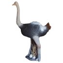 LEITOLD Ostrich [Forwarding Agent]