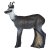 LEITOLD Chamois Doe [Spedition]