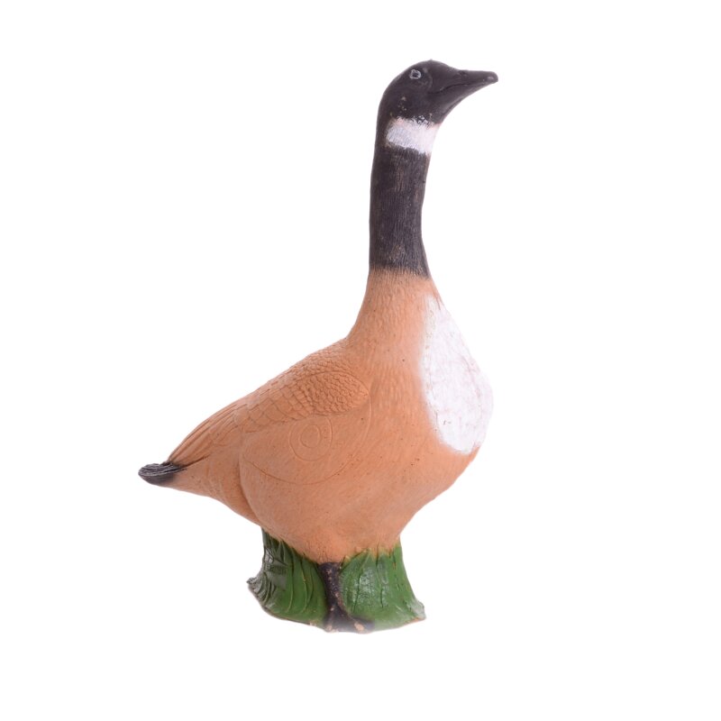 IBB 3D Canada Goose