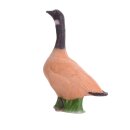 IBB 3D Canada Goose