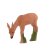 IBB 3D Deer Group with grazing Roebuck - 4 Animals [Forwarding Agent]