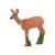 IBB 3D Deer Group with grazing Roebuck - 4 Animals [Forwarding Agent]