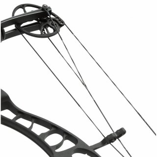 FLEX ARCHERY - Full Custom Kabel und Sehnen für...