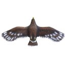 LEITOLD Golden Eagle - flying [Forwarding Agent]