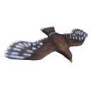 LEITOLD Golden Eagle - flying [Spedition]