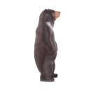 IBB 3D Kleiner Kragenbär