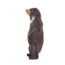 IBB 3D Small Collar Bear