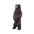 IBB 3D Small Black Bear