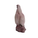 IBB 3D Rock Partridge - Cock