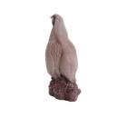 IBB 3D Rock Partridge - Cock