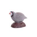 IBB 3D Rock Partridge - Hen