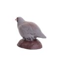 IBB 3D Rock Partridge - Hen